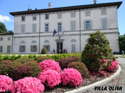 Villa Oliva